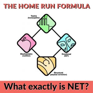 Neuro Emotional Technique and The Home Run Formula