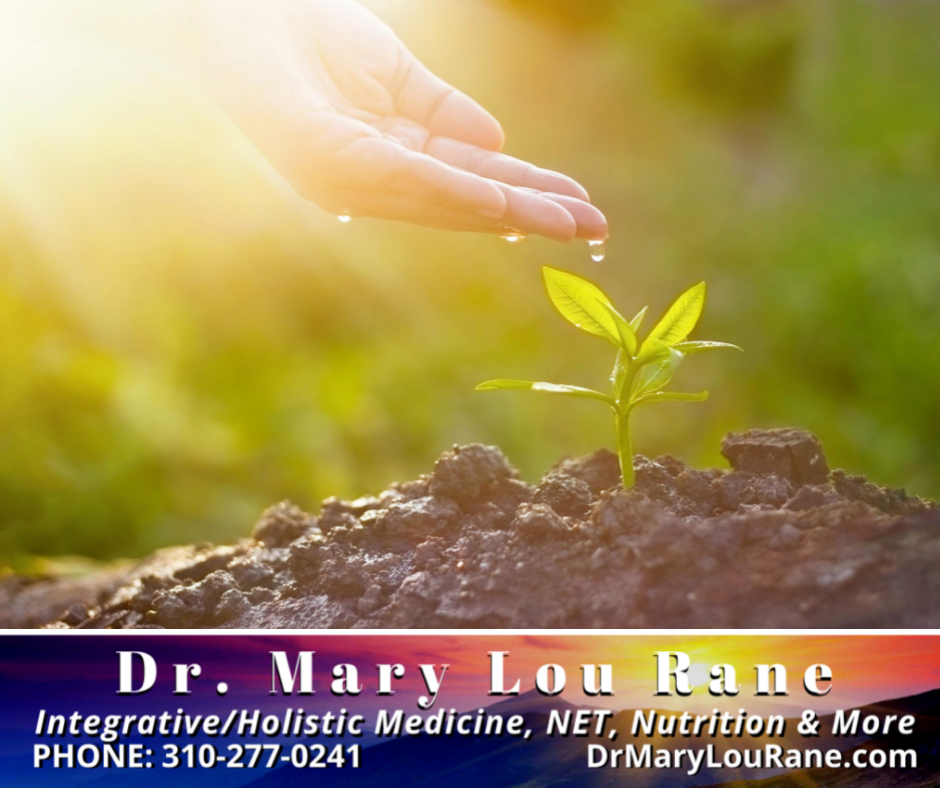 My Mission As A Certified Holistic Nutritionist - Dr. Mary Lou Rane