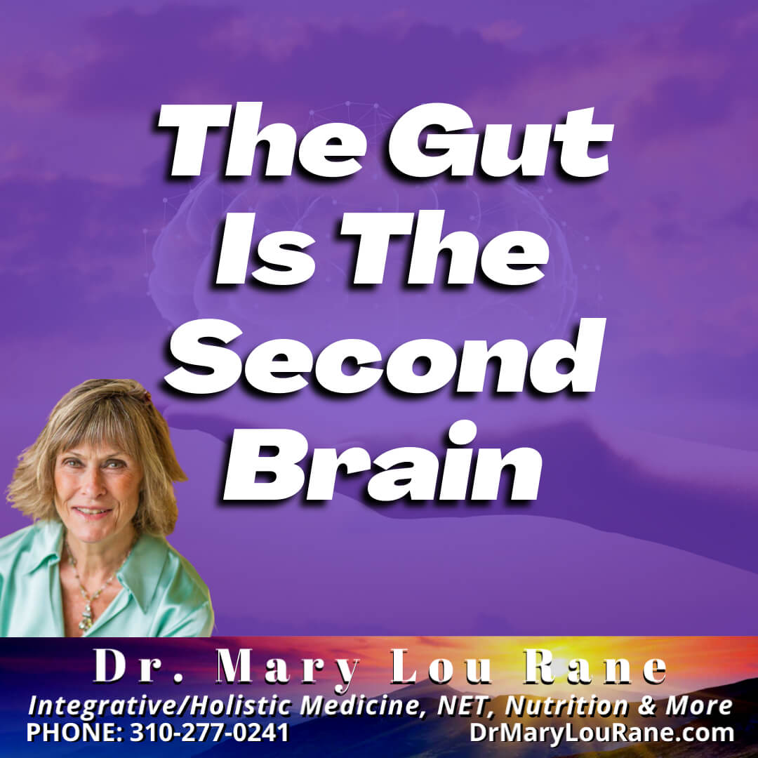 The Gut Is The Second Brain