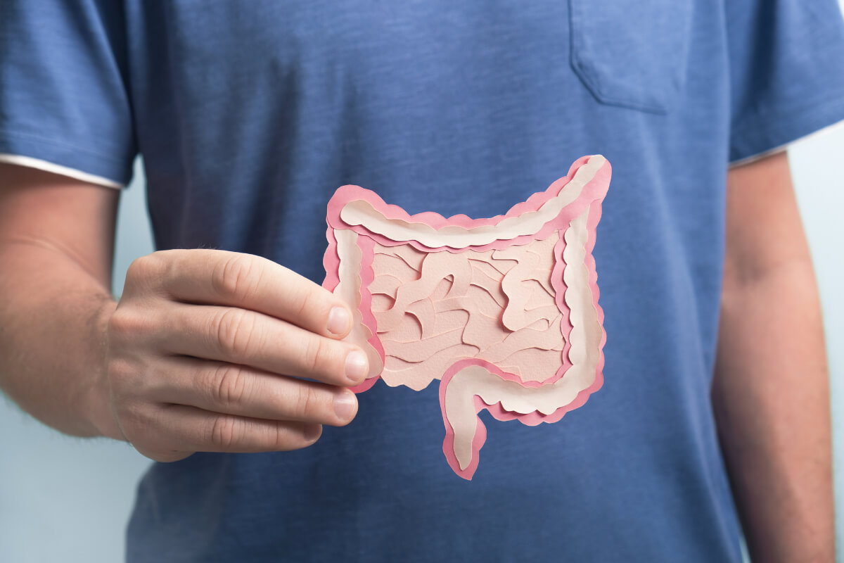 The Gut and Gastrointestinal Issues