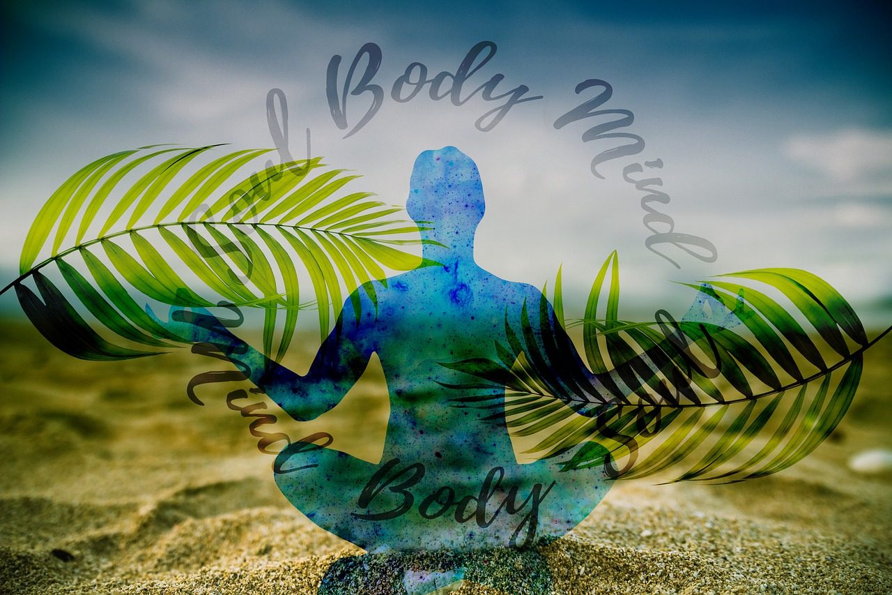 meditation, yoga, body, soul, reflection, transcendence, transcendental, awareness, nature, harmony, enlightenment, hinduism, religion, palm, sunset
