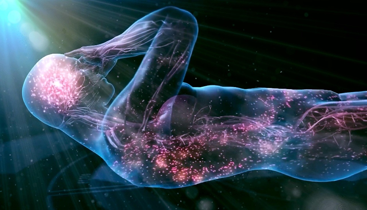 Mind-body connection brain